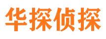 墨江侦探公司